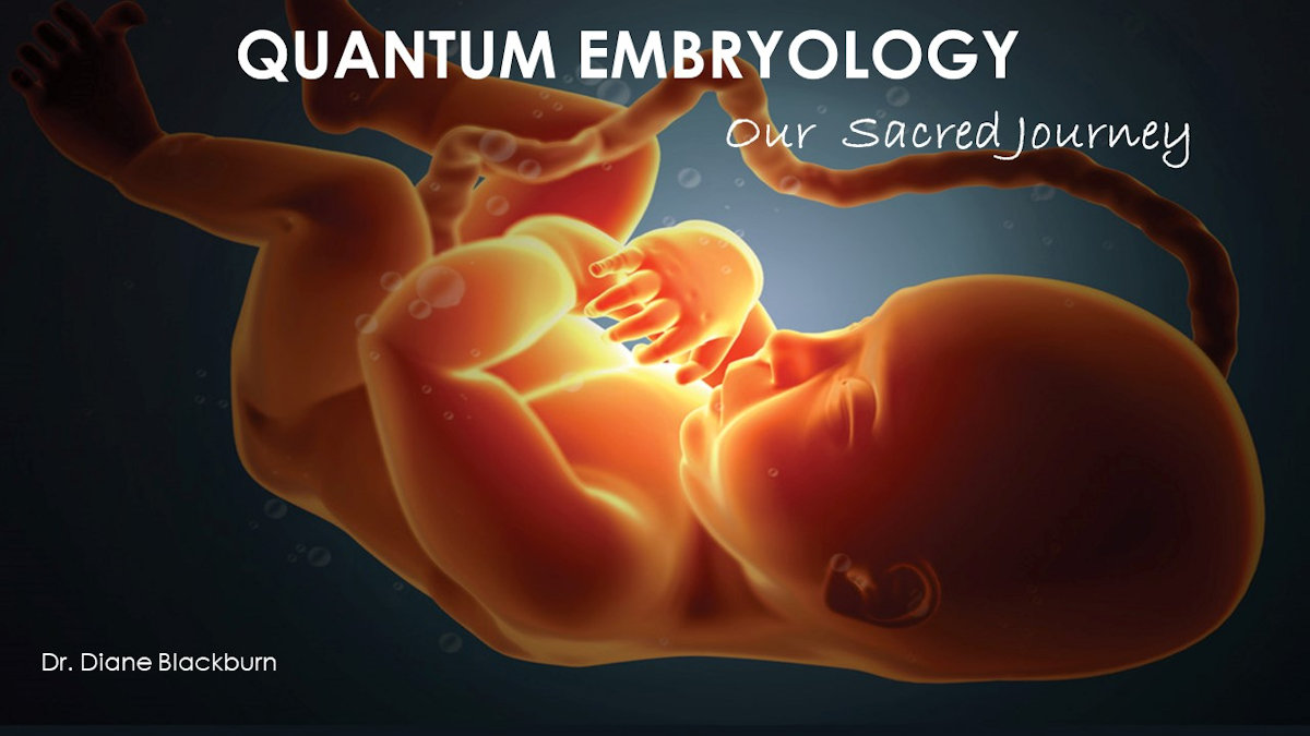 Quantum embryology