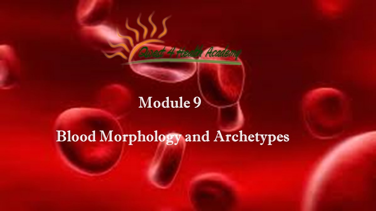 blood morphology and arrchetypes